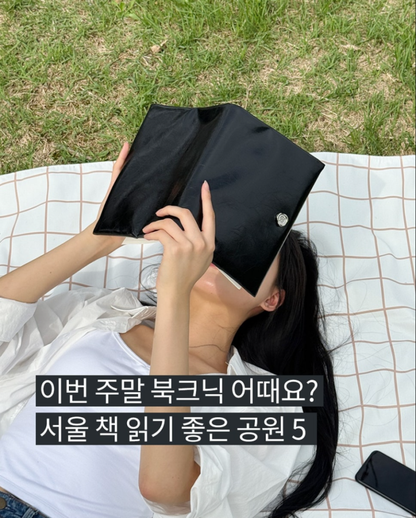 잔디밭에 누워서 누보 글로시 북커버를 씌운 책을 읽고있는 여성