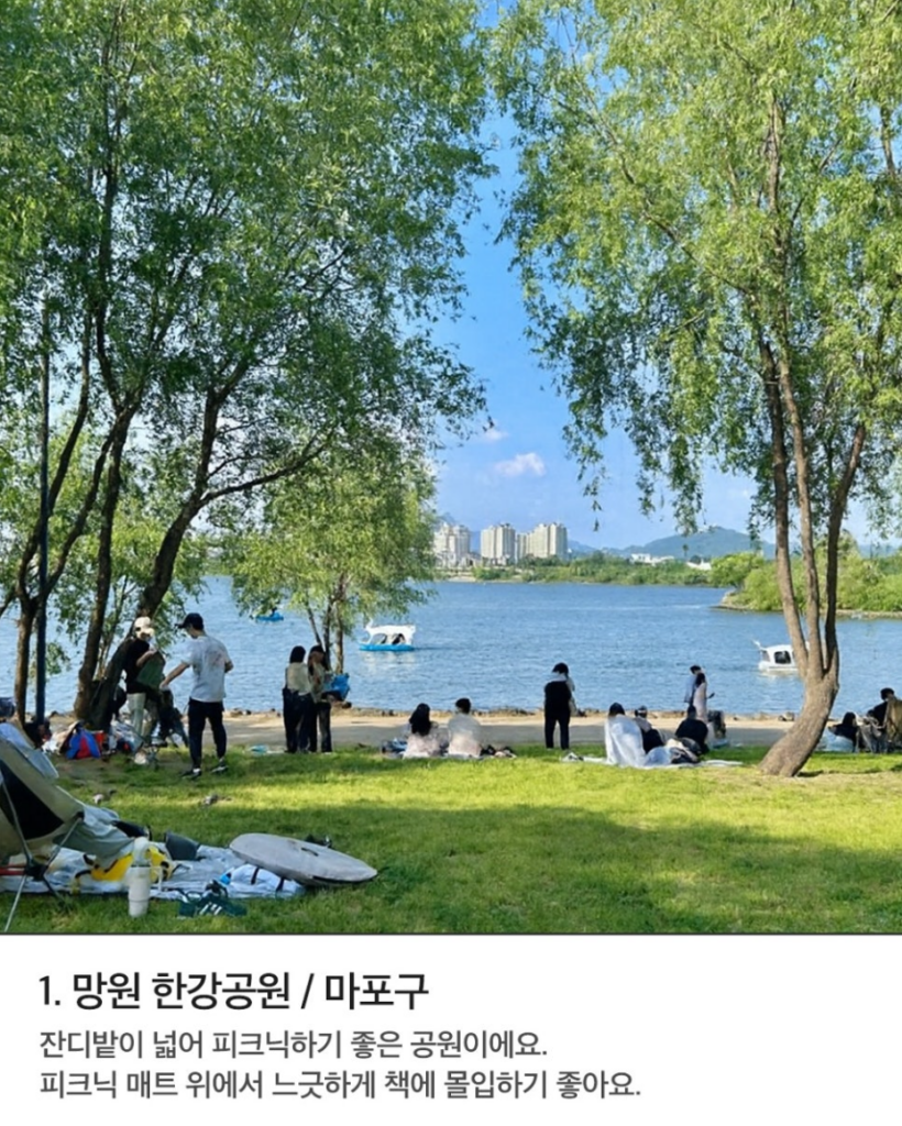 책읽기좋은공원 망원 한강공원 한강이 보이는 넓은 잔디 공원에서 사람들이 피크닉을 즐기고 있다. 나무 사이로 강과 보트, 멀리 아파트 단지가 보인다.